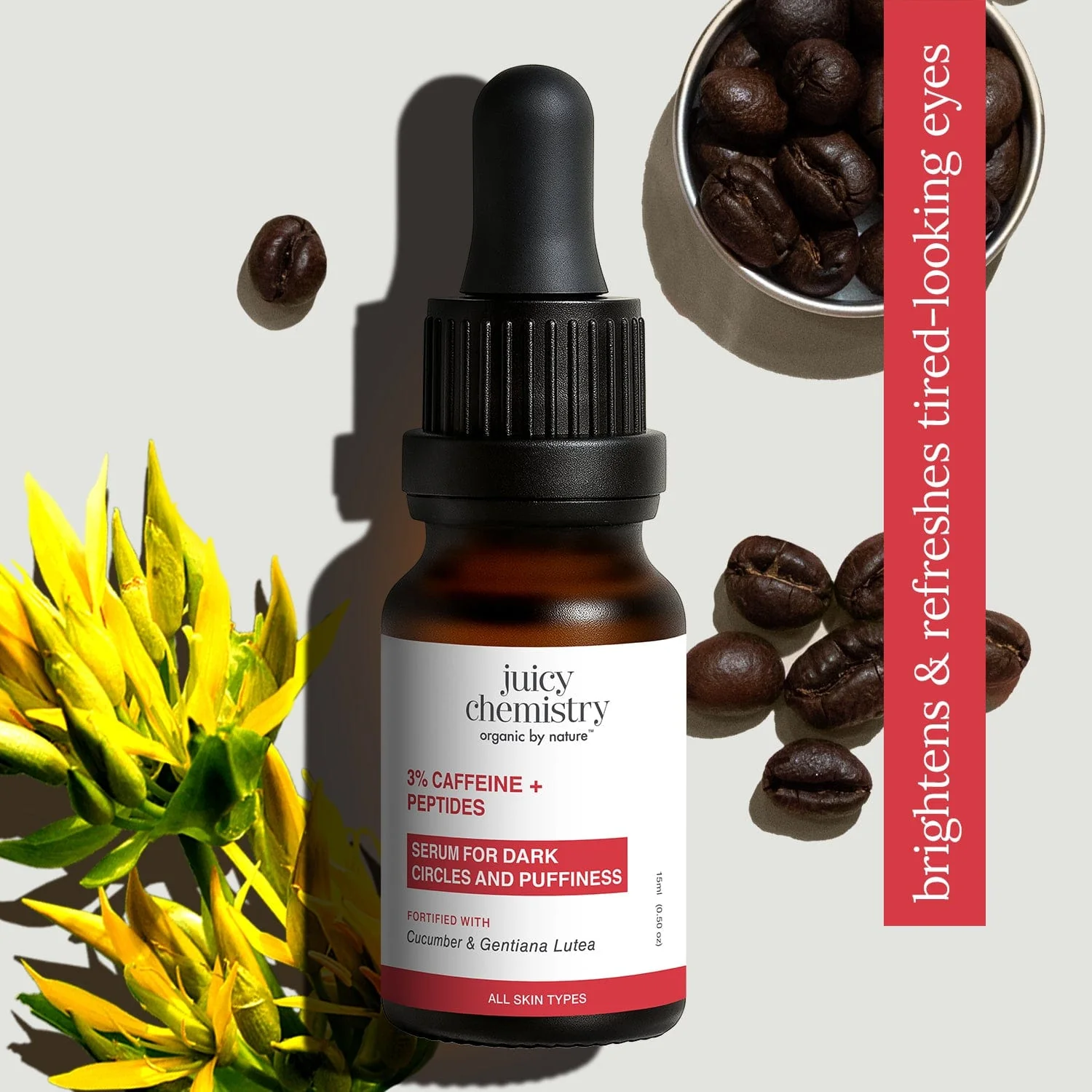 New Launches